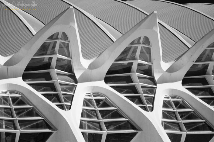 Museo de las Ciencias en la la Ciudad de la Artes y las Ciencias de Valencia