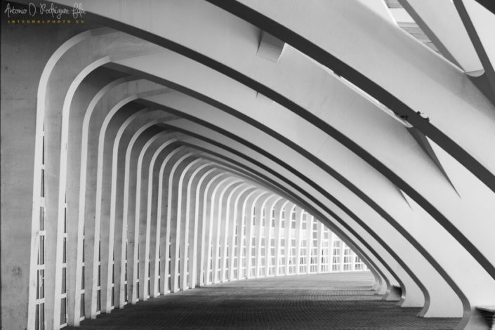 Pasillo en la ciudad de las Artes y las Ciencias de Valencia