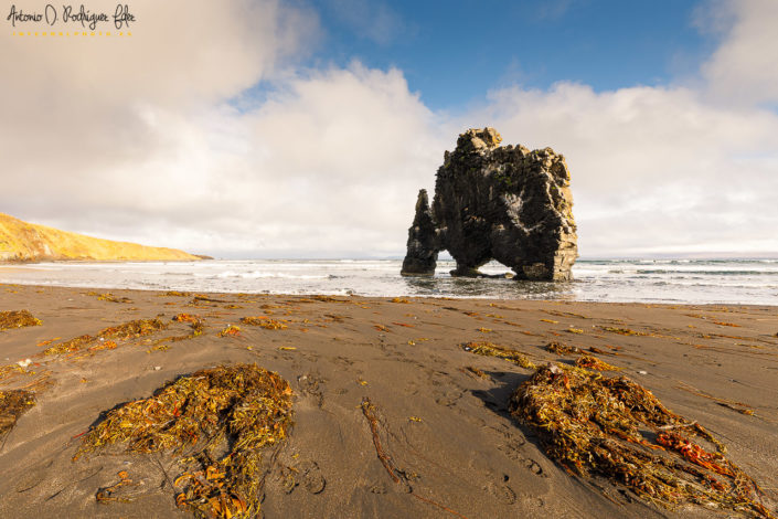 El dragón de Hvítserkur. Islandia