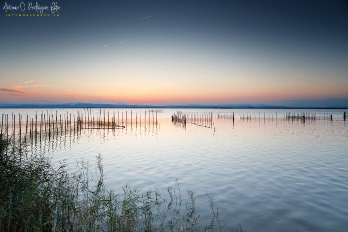 Albufera de Valencia